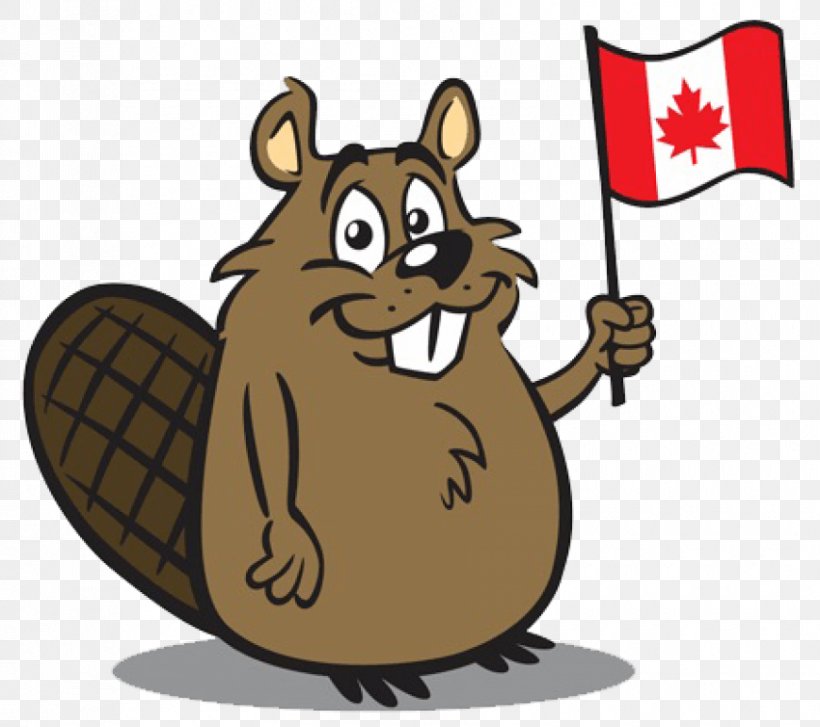 Eurasian Beaver Royalty-free Canada Cartoon, PNG, 850x754px, Eurasian Beaver, American Beaver, Beaver, Canada, Carnivoran Download Free
