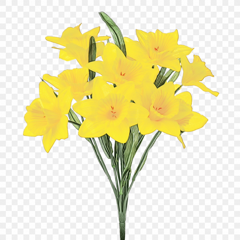 Flower Plant Yellow Cut Flowers Narcissus, PNG, 1600x1600px, Watercolor, Amaryllis Family, Bouquet, Cut Flowers, Flower Download Free