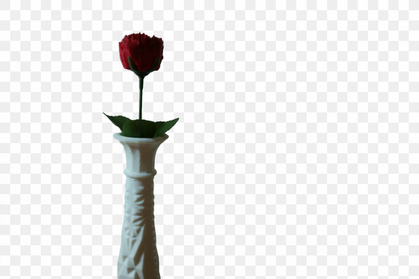 Flower Vase, PNG, 1200x800px, Flower, Vase Download Free