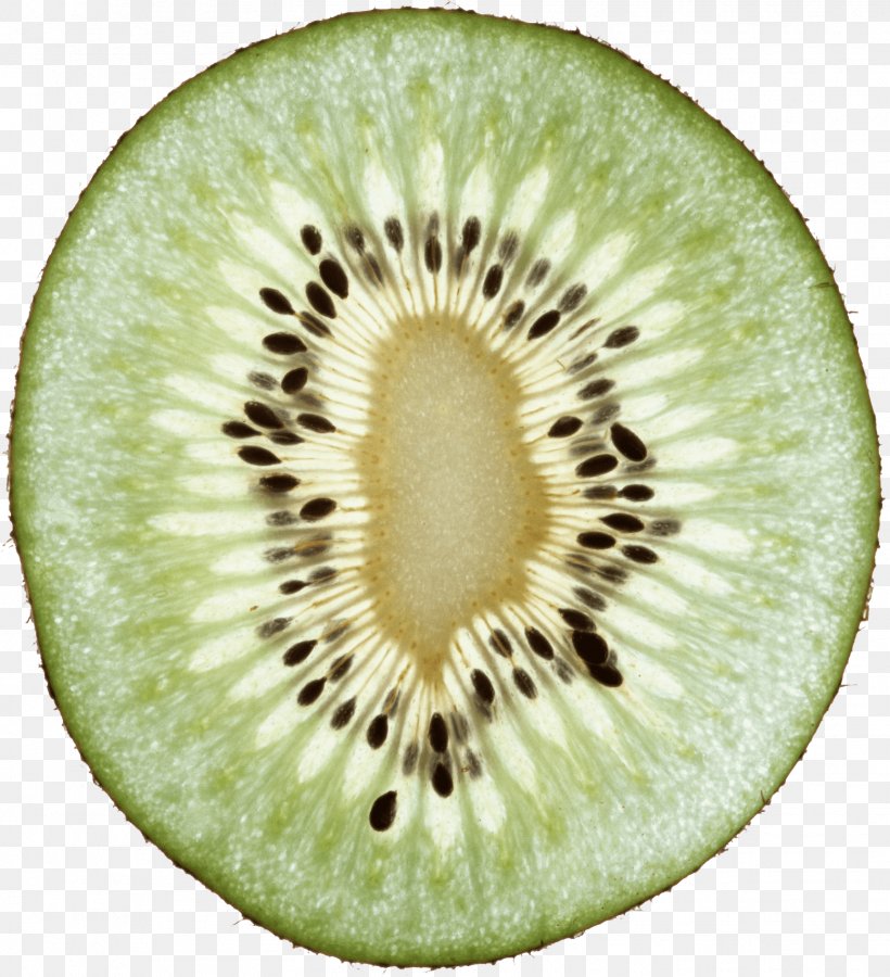 Kiwifruit Download Clip Art, PNG, 1553x1705px, 3d Computer Graphics, Kiwifruit, Clipping Path, Food, Fruit Download Free
