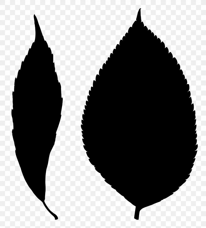 Leaf Line Silhouette Tree Black M, PNG, 2531x2800px, Leaf, Black M, Blackandwhite, Plant, Silhouette Download Free