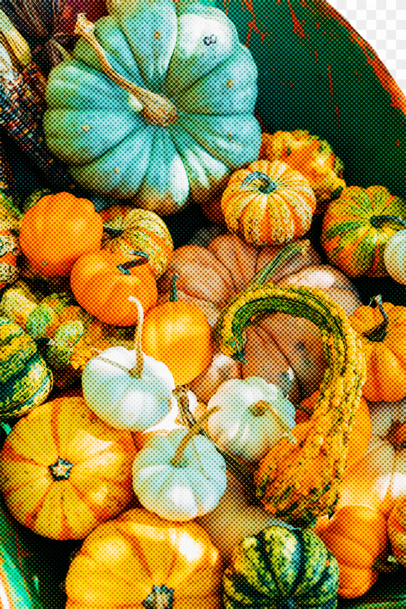 Squash Gourd Winter Squash Natural Foods Vegetable, PNG, 1200x1799px, Squash, Cucumber, Fruit, Gourd, Local Food Download Free