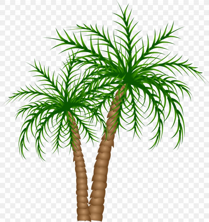 Palm Tree, PNG, 4992x5323px, Tree, Arecales, Date Palm, Houseplant, Leaf Download Free