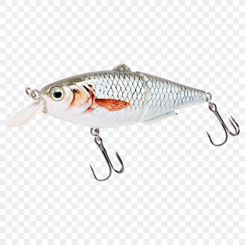 Spoon Lure Plug Fishing Tackle Northern Pike, PNG, 1756x1756px, Spoon Lure, Bait, Carp, Common Roach, Fish Download Free