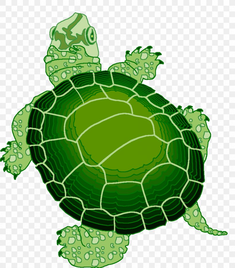 Turtle Reptile Animaatio, PNG, 895x1024px, Turtle, Animaatio, Animal, Animated Film, Art Download Free