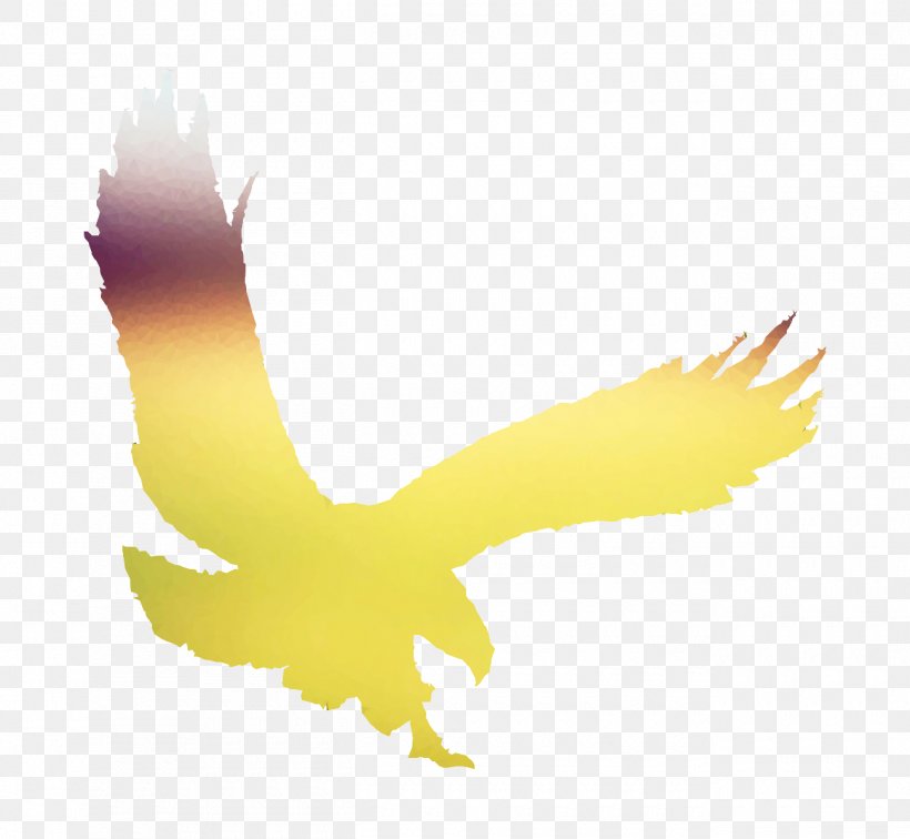 Bald Eagle Yellow Beak Desktop Wallpaper Hawk, PNG, 1300x1200px, Bald Eagle, Accipitriformes, Beak, Bird, Bird Of Prey Download Free