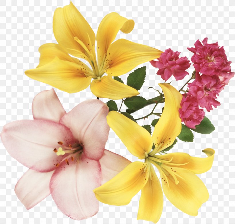 Festival Of The Flowers, PNG, 1200x1144px, Festival Of The Flowers, Alstroemeriaceae, Blog, Cut Flowers, Floral Design Download Free