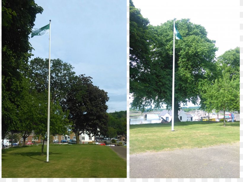 Flag Of Kirkcudbrightshire County Street, PNG, 3775x2832px, Kirkcudbrightshire, Biome, County, Flag, Grass Download Free