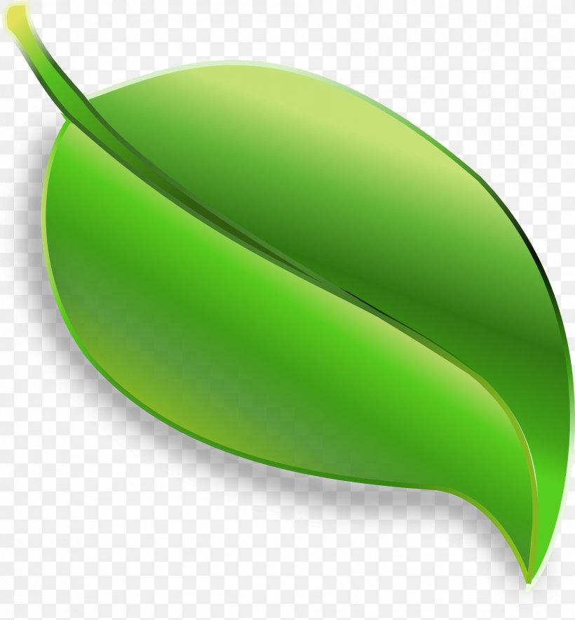 Green, PNG, 1782x1920px, Green, Fruit, Grass, Leaf, Plant Download Free