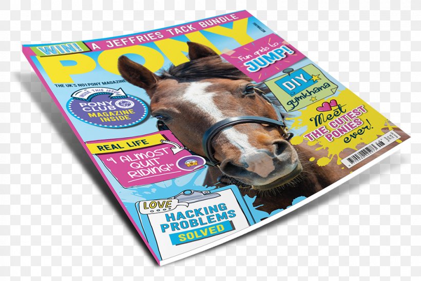 Horse PONY Magazine Snout, PNG, 1000x670px, Horse, Advertising, Experience, In Touch Weekly, Magazine Download Free