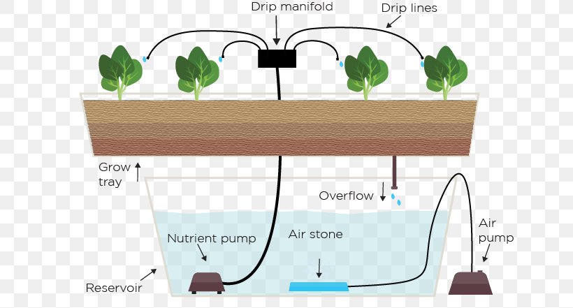 Hydroponics Drip Irrigation Ebb And Flow Garden Agriculture, PNG, 653x441px, Hydroponics, Agriculture, Area, Communication, Diagram Download Free