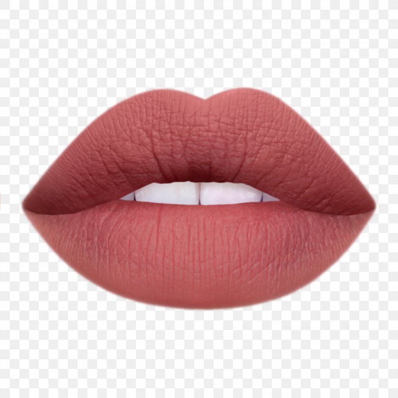 Lipstick Cruelty-free Cosmetics Color Eye Shadow, PNG, 2048x2048px, Lipstick, Apricot, Color, Cosmetics, Crueltyfree Download Free