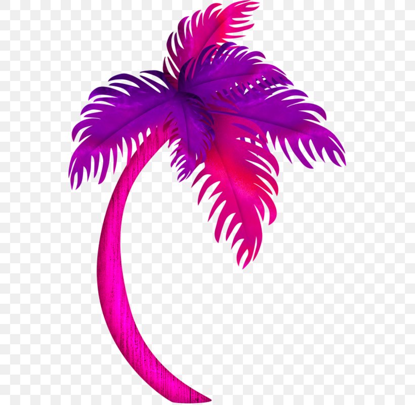 Tree Coconut Clip Art, PNG, 549x800px, Tree, Coconut, Feather, Flower, Flowering Plant Download Free