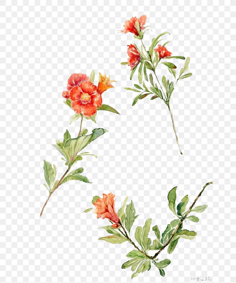 Watercolour Flowers Floral Design Watercolor Painting Drawing, PNG, 658x982px, Watercolour Flowers, Art, Branch, Cecil Kennedy, Cut Flowers Download Free