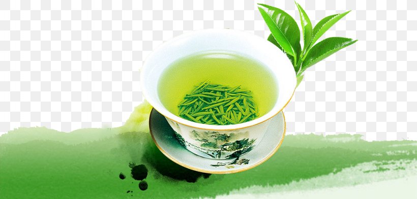 Green Tea Yum Cha Tieguanyin Longjing Tea, PNG, 1024x490px, Tea, Alternative Medicine, Chinese Tea, Grass Family, Green Tea Download Free