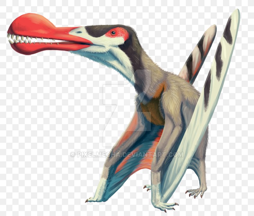 Ornithocheirus Anhanguera Quetzalcoatlus Tupuxuara Pteranodon, PNG, 800x696px, Ornithocheirus, Anhanguera, Animal Figure, Beak, Cretaceous Download Free