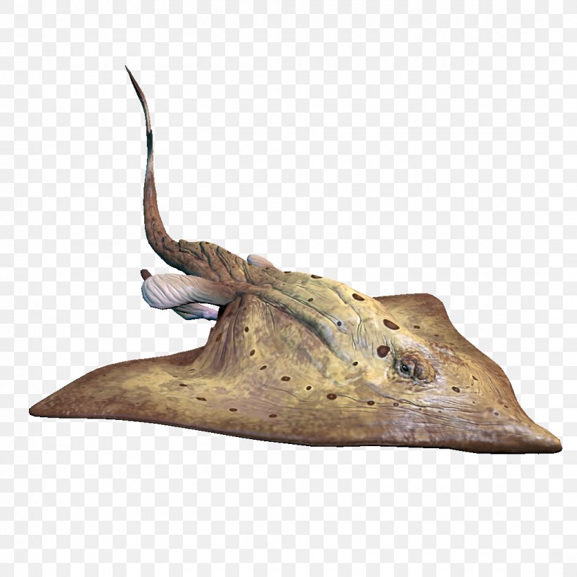 Warframe Sand Desert Skate Batoidea, PNG, 1080x1080px, Warframe, Arid, Batoidea, Desert, Desert Sand Download Free