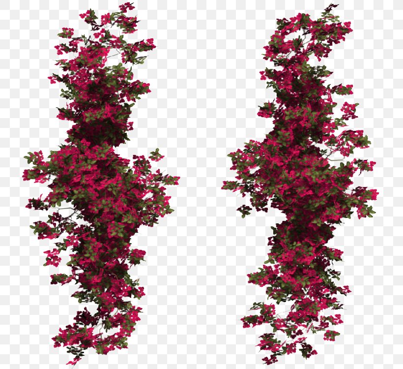 Clip Art Image Branch Photograph, PNG, 750x750px, Branch, Architecture, Art, Cut Flowers, Deviantart Download Free