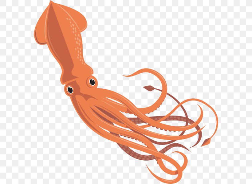 Giant Squid Octopus Cephalopod Invertebrate, PNG, 600x597px, Squid, Animal, Cephalopod, Drawing, Fish Download Free