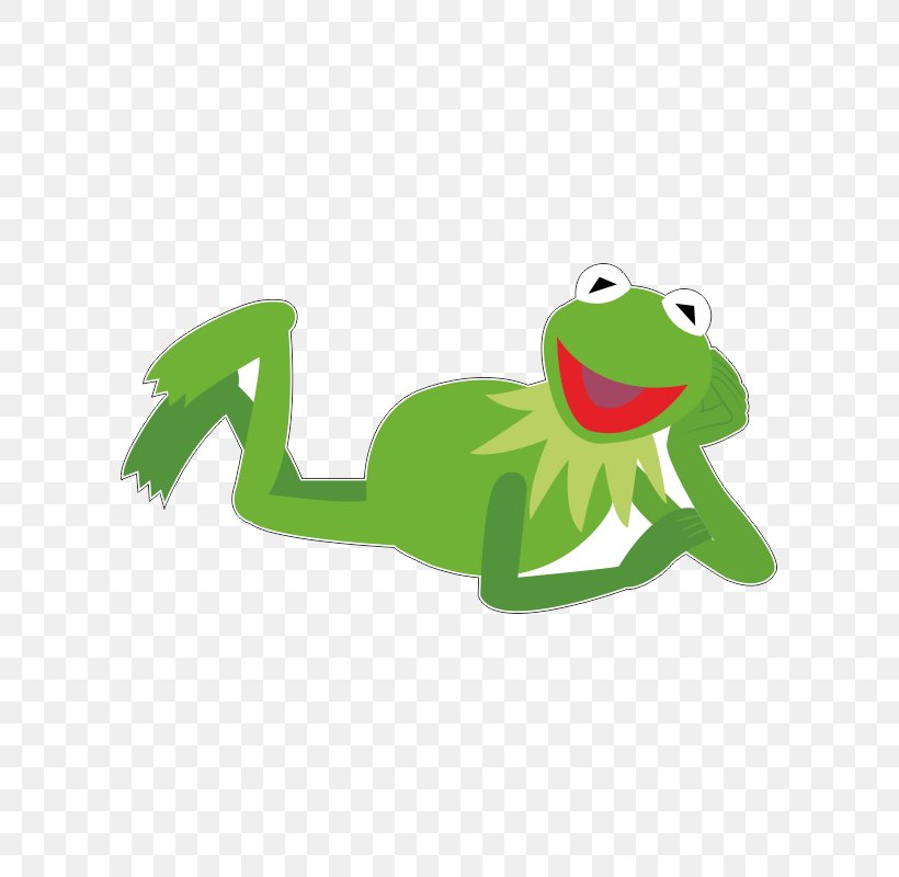 Kermit The Frog Tree Frog Image Cartoon, PNG, 800x800px, Kermit The Frog, Amphibian, Animation, Cartoon, Cuteness Download Free