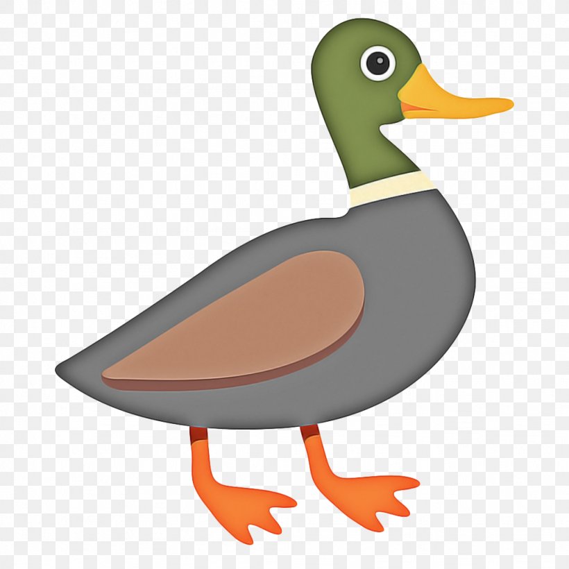 Water Background, PNG, 1024x1024px, Mallard, American Black Duck, Beak, Bird, Cartoon Download Free