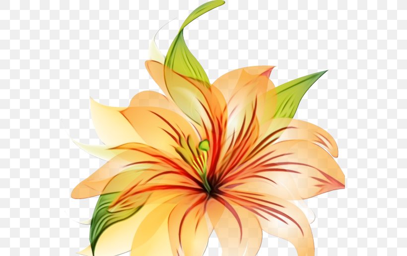 Flowers Background, PNG, 571x517px, Floral Design, Amaryllis Belladonna, Anthurium, Cut Flowers, Daylily Download Free