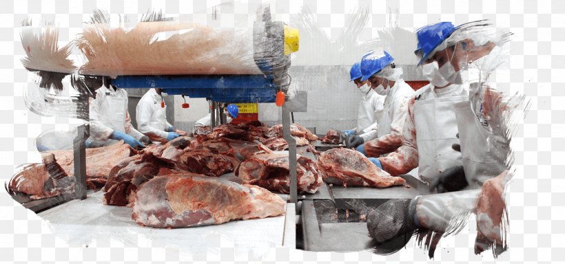 Meat Slaughterhouse Food Processing Service, PNG, 2000x938px, Meat, Animal Source Foods, Butcher, Cook, Cooking Download Free