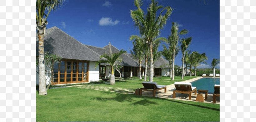 Arecaceae Resort Vacation Property Lawn, PNG, 1150x550px, Arecaceae, Arecales, Cottage, Estate, Facade Download Free