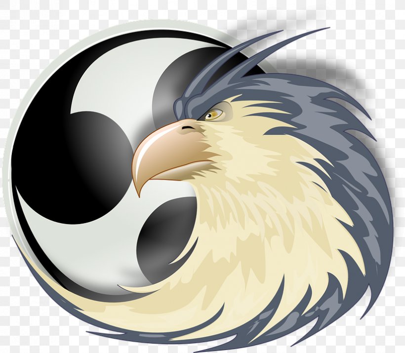 Bird Of Prey Beak Eagle, PNG, 825x720px, Bird, Animal, Animated Film, Beak, Bird Of Prey Download Free