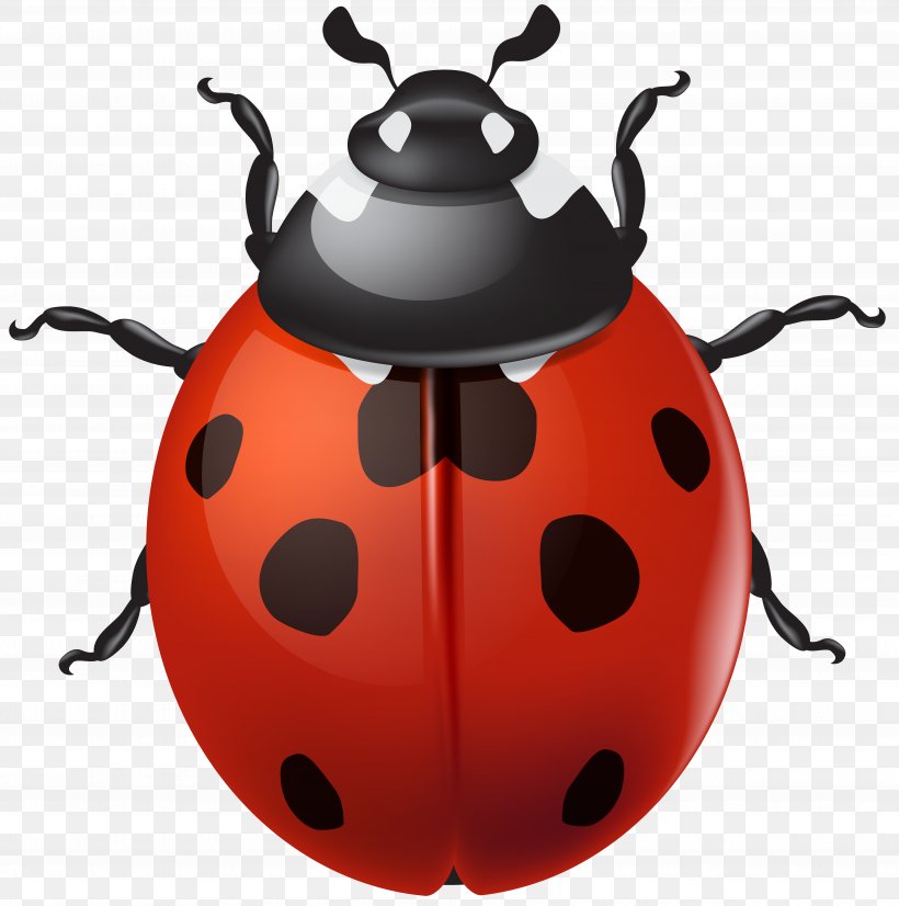Ladybird Beetle Desktop Wallpaper Clip Art, PNG, 6941x7000px, Ladybird, Beetle, Insect, Invertebrate, Kettle Download Free