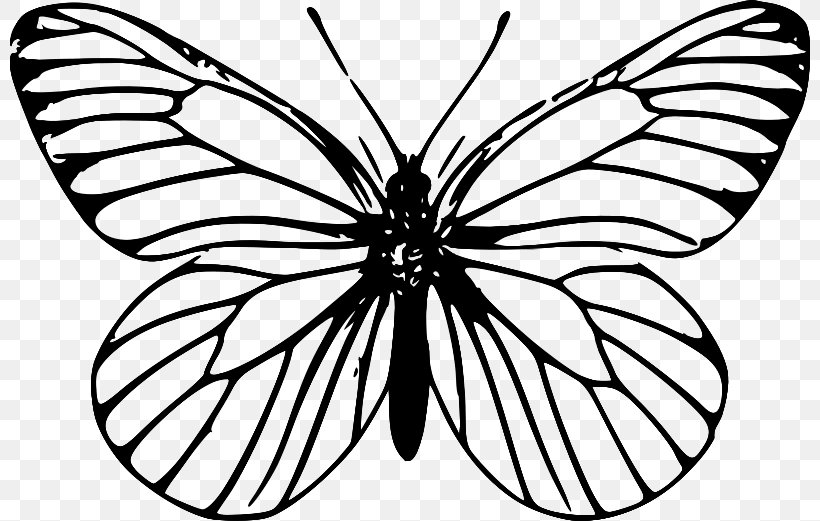 Monarch Butterfly Outline Clip Art, PNG, 800x521px, Butterfly, Animal, Arthropod, Black And White, Brush Footed Butterfly Download Free