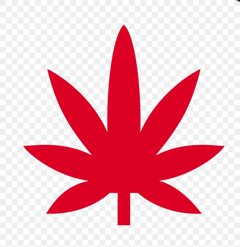 Cannabis Smoking Kush Cannabinol, PNG, 888x914px, Cannabis, Bong, Cannabidiol, Cannabinol, Cannabis Smoking Download Free