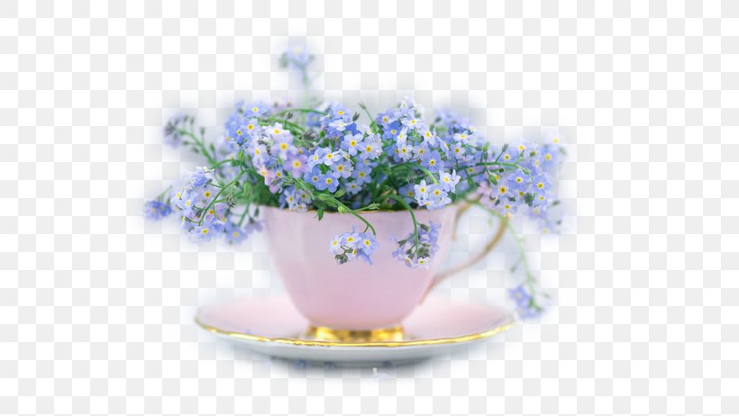 Desktop Wallpaper Scorpion Grasses Desktop Environment Teacup Wallpaper, PNG, 555x462px, Scorpion Grasses, Blue, Blue And White Porcelain, Borage Family, Cup Download Free