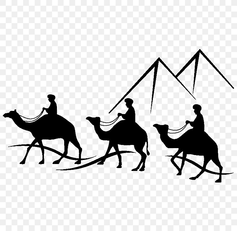 Horse Bactrian Camel Camel Train Clip Art, PNG, 800x800px, Horse, Bactrian Camel, Bedouin, Black And White, Camel Download Free