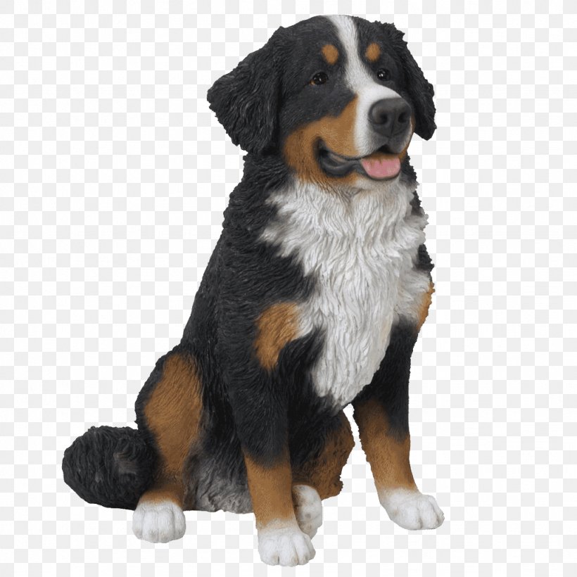 Bernese Mountain Dog Dog Breed Greater Swiss Mountain Dog Companion Dog Clip Art, PNG, 1024x1024px, Bernese Mountain Dog, Breed, Breed Group Dog, Carnivoran, Companion Dog Download Free