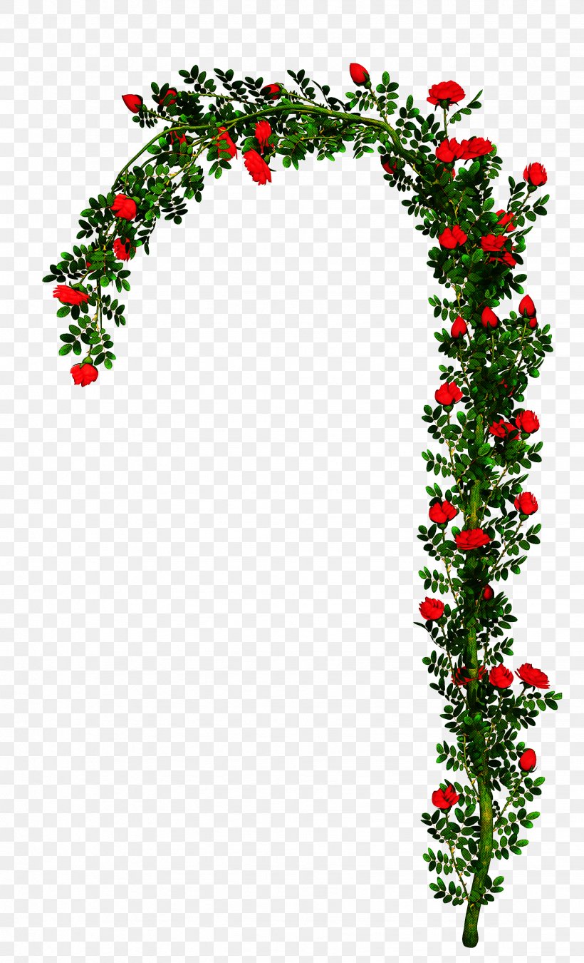 Christmas Decoration Drawing, PNG, 1841x3033px, Rose, Arch, Christmas Decoration, Drawing, Flower Download Free