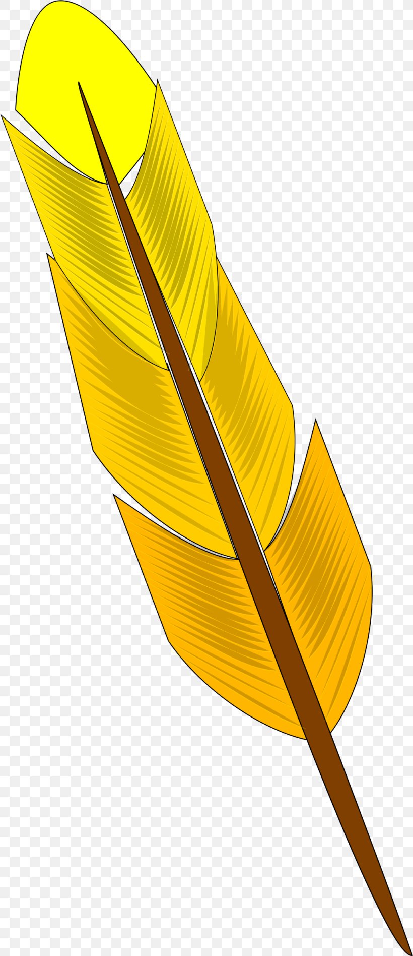 Feather Yellow Clip Art, PNG, 1025x2370px, Feather, Leaf, Public Domain, Quill, Royaltyfree Download Free