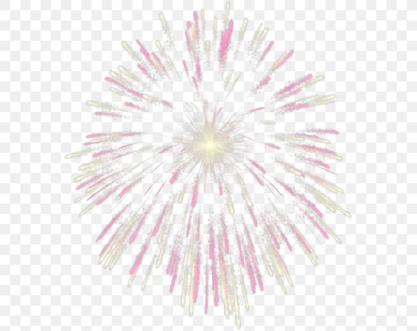 Fireworks Free Clip Art, PNG, 569x650px, Fireworks, Animated Film, Flower, Free, Magenta Download Free