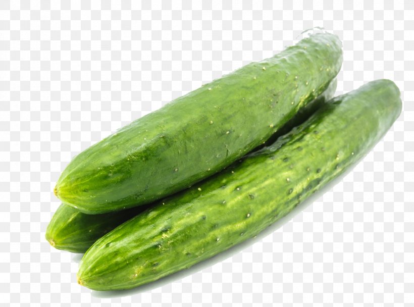 Spreewald Gherkins Armenian Cucumber Pickled Cucumber Slicing Cucumber Lemon Cucumber, PNG, 1056x784px, Spreewald Gherkins, Armenian Cucumber, Cucumber, Cucumber Gourd And Melon Family, Cucumis Download Free
