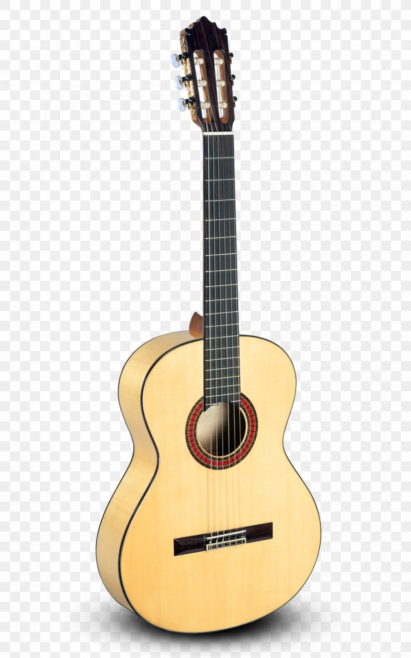 Classical Guitar Acoustic-electric Guitar Takamine Guitars Acoustic Guitar, PNG, 1250x2000px, Watercolor, Cartoon, Flower, Frame, Heart Download Free