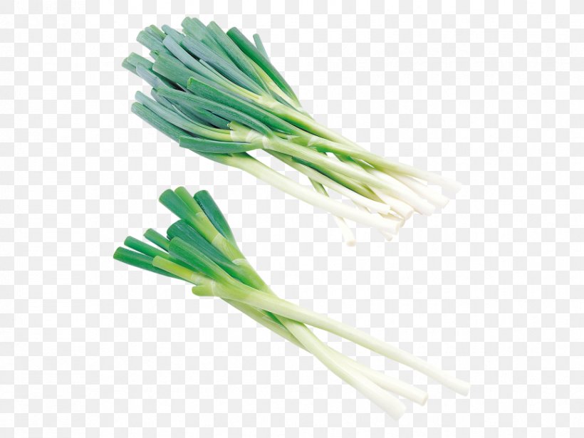 Cong You Bing Welsh Onion Vegetarian Cuisine Scallion Shallots, PNG, 866x650px, Cong You Bing, Allium, Chives, Flowering Plant, Food Download Free