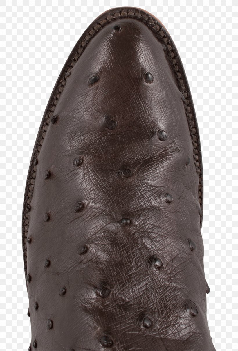 Lucchese Boot Company Shoe Common Ostrich Pinto Ranch, PNG, 870x1280px, Lucchese Boot Company, Boot, Common Ostrich, Female, Footwear Download Free