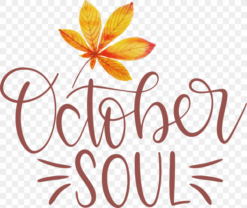 October Soul October, PNG, 3000x2526px, October, Flower, Logo, Meter, Petal Download Free