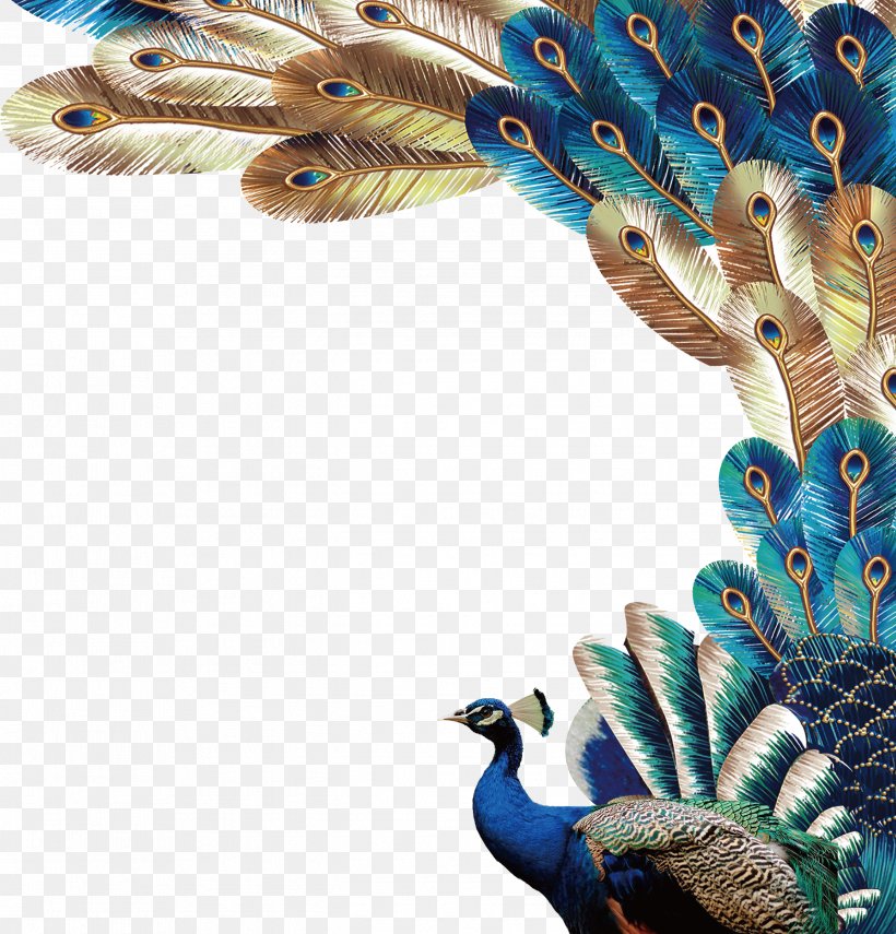 indian peacock vector