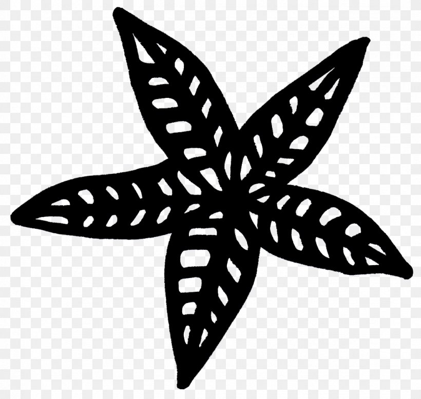 Symmetry Line Starfish Pattern, PNG, 1074x1019px, Symmetry, Black And White, Butterfly, Echinoderm, Invertebrate Download Free