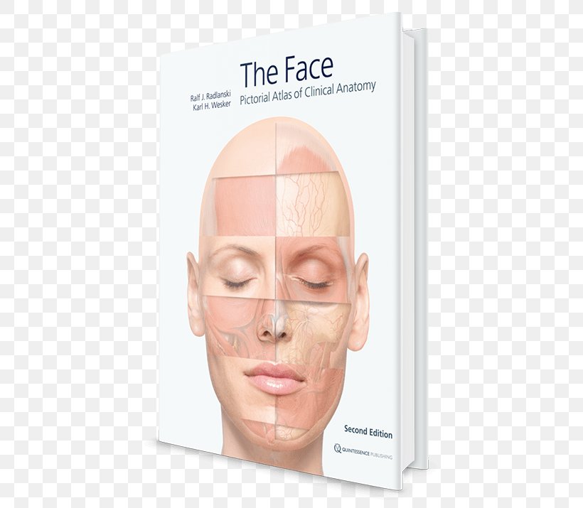 Anatomy Atlas Ilustrado De Anatomia Book グラフィックスフェイス: 臨床解剖図譜 Nose, PNG, 568x715px, Anatomy, Book, Cheek, Chin, Clinical Anatomy Download Free