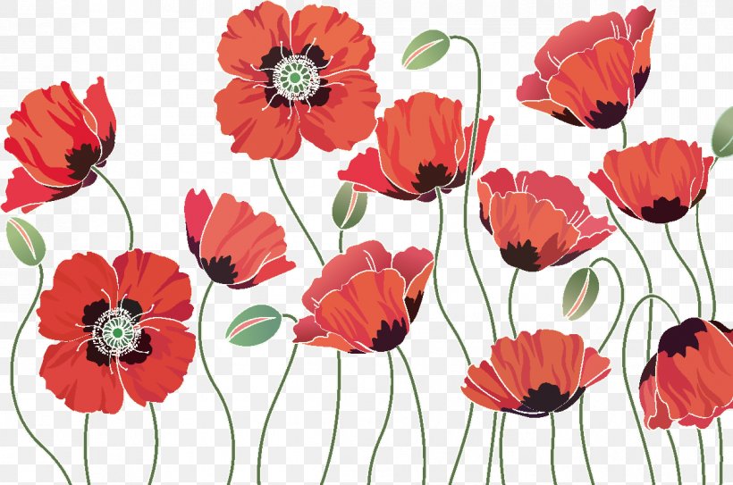 Common Poppy Opium Poppy Remembrance Poppy Flower, PNG, 1198x794px, Poppy, Annual Plant, California Poppy, Common Poppy, Coquelicot Download Free