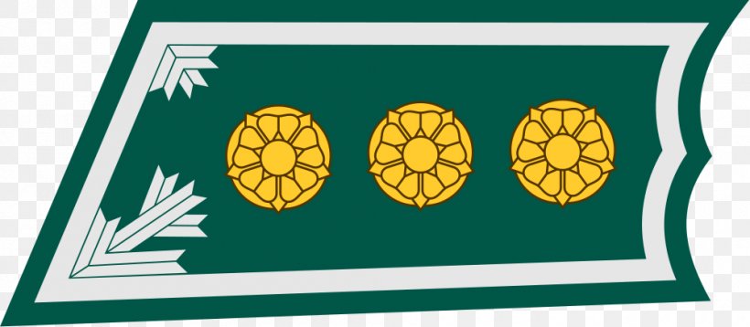 Finland Captain Lieutenant Military Rank Alikersantti, PNG, 1000x437px, Finland, Alikersantti, Captain, Flower, Grass Download Free