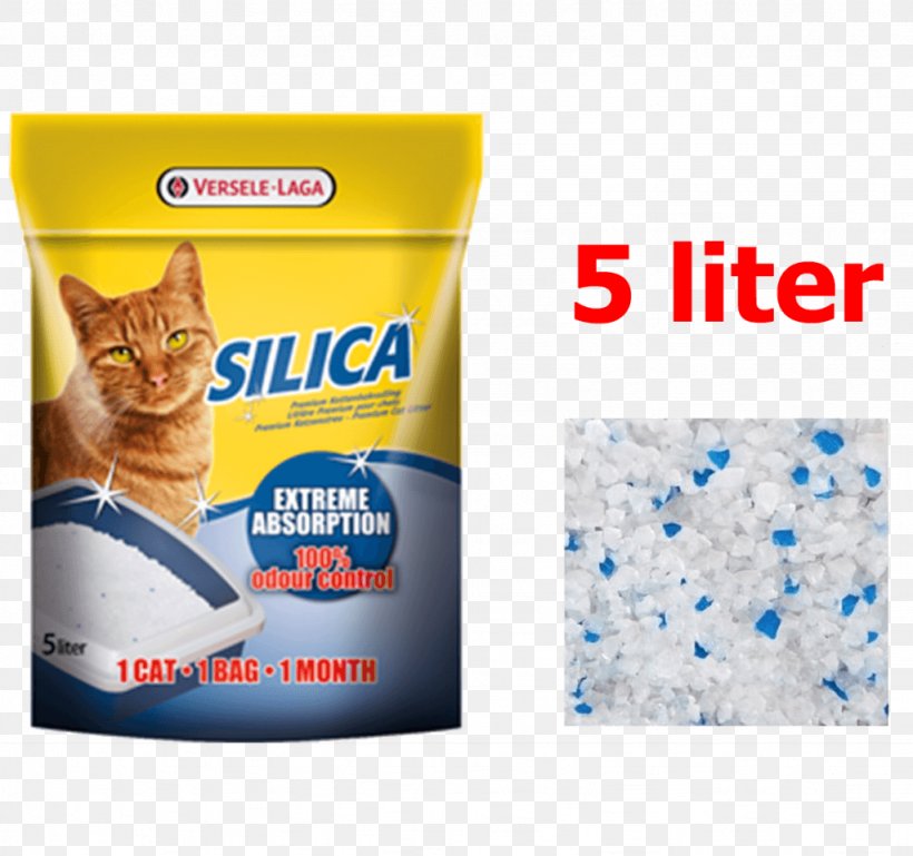 Cat Silicon Dioxide Silica Gel Sand Bedding, PNG, 1024x961px, Cat, Absorption, Bedding, Blue, Brand Download Free