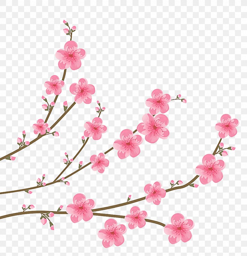 Cherry Blossom Clip Art, PNG, 963x1000px, Cherry Blossom, Blossom, Branch, Cherry, Drawing Download Free
